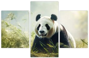 Tablou - Panda (90x60 cm)