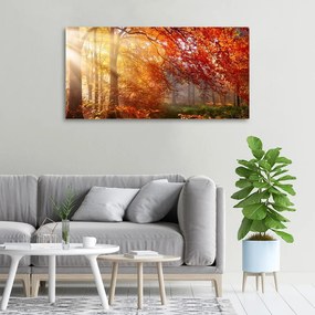 Imprimare tablou canvas Pădure de toamnă