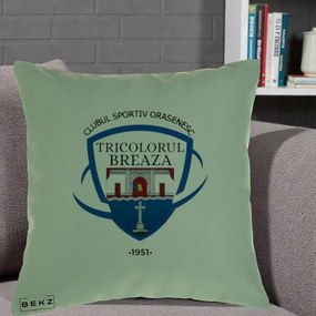 Perna Personalizata CSO Tricolorul Breaza 1951, 40x40 cm, Verde, Husa Detasabila, Perna Inclusa, BEKZ®