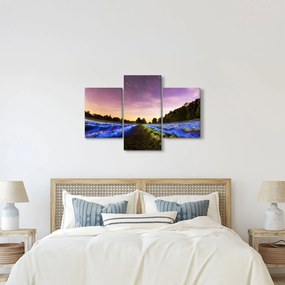 Tablou cu câmp colorat (90x60 cm)