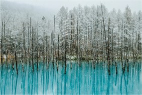 Tablou - Pescărie turcoaz, Biei, Japonia (90x60 cm)