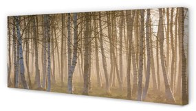 Tablouri canvas copac pădure Sunrise