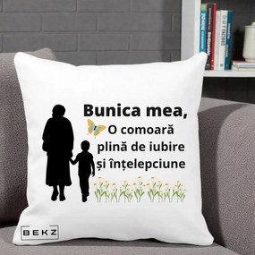 Cadou pentru Bunica - Perna Personalizata Bunica Mea Comoara cu Fluture si Baietel, 40x40 cm, Alba Mata, Husa Detasabila, Perna Inclusa, BEKZ®