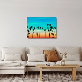 Tablou pe sticlă - California (70x50 cm)