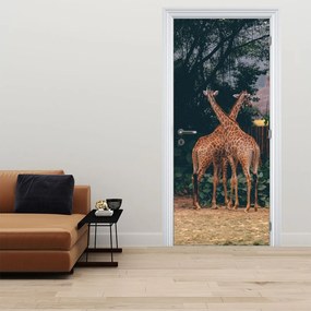 Fototapet pentru ușă - Două girafe (95x205cm)