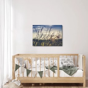 Tablou cu flori de câmp (70x50 cm)