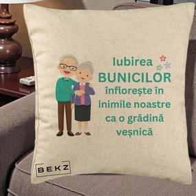 Cadou pentru Bunici - Perna Personalizata Bunicii Iubirea Infloreste Cuplu Senior Teal, 40x40 cm, Bej, Husa Detasabila, Perna Inclusa, BEKZ®