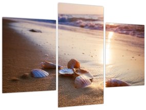 Tablou - Scoici (90x60 cm)