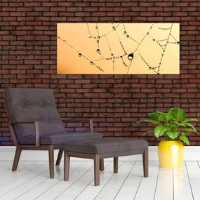 Tablou cu pânză de pâianjen cu rouă (120x50 cm)