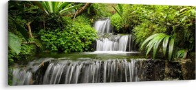 Tablou - Cascadă în pădurea tropicală (120x50 cm)