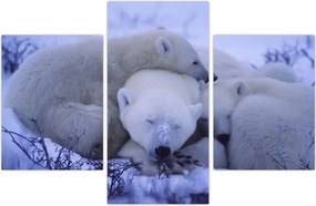 Tablou - Urși polari (90x60 cm)