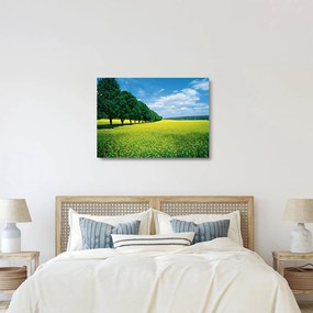 Tablou pe sticlă - Câmp cu alei (70x50 cm)