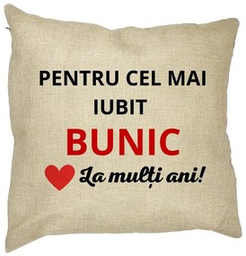 Perna Decorativa pentru Bunicul 3, 40x40 cm, Husa Detasabila, Burduf