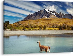 Tablou - Parcul Național Torres del Paine (70x50 cm)