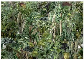 Fototapet - Richness of Jungle