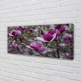 Tablouri canvas magnolie violet