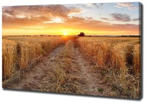 Print pe canvas Câmp de grâu
