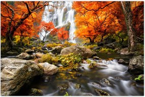 Tablou - Cascade în pădurea portocalie (90x60 cm)