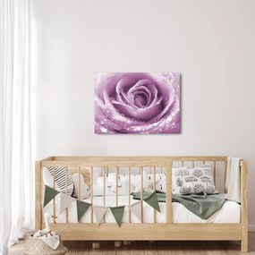 Tablou detaliu de floare de trandafir (70x50 cm)