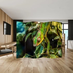 Paravan - Cameleon (210x170 cm)