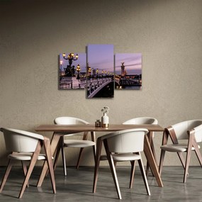 Tablou - Podul lui Alexandru al III.-lea din Paris (90x60 cm)