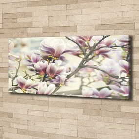 Tablou canvas Magnolie