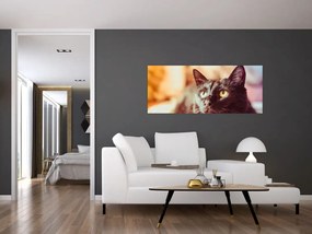 Tablou pisica neagră (120x50 cm)