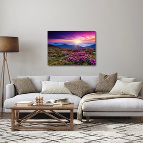 Tablou - Munte înflorit peisaj (70x50 cm)