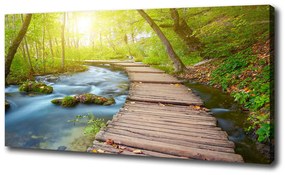 Tablou pe pânză Calea în pădure