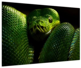 Tablou - Șarpele verde (90x60 cm)