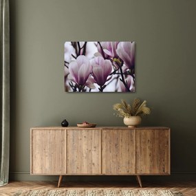 Tablou pe sticlă - Magnolie (70x50 cm)