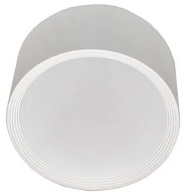 Plafonieră LED pentru baie PERCI LED/20W/230V IP40 4000K alb