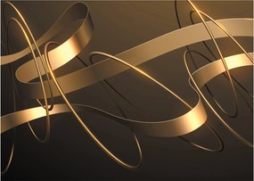 Tablou - Panglici de bronz (70x50 cm)