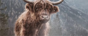 Tablou - Vaca Highlander (120x50 cm)