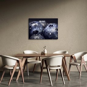 Tablou cu fructe cu picături de apă (70x50 cm)