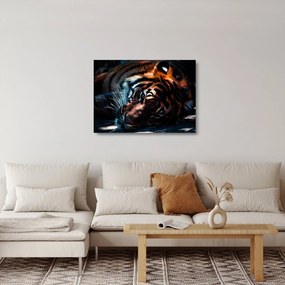 Tablou pe sticlă cu tigrul dormind (70x50 cm)