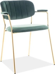 Scaun elegant catifea verde CARLO II CARLOIIVZLZ SM