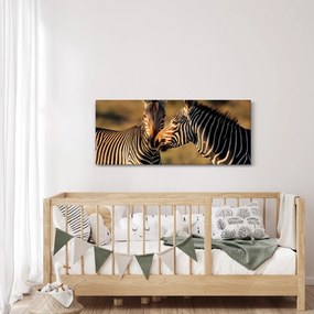 Tablou - Două zebre (120x50 cm)