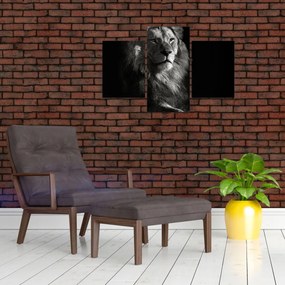 Tablou - Leu (90x60 cm)