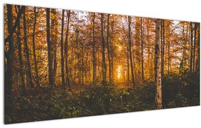Tablou - Pădurea toamna (120x50 cm)