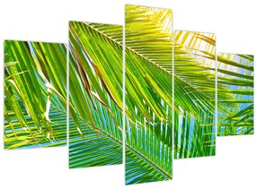 Tablou - Frunze de palmier (150x105 cm)