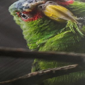Tablou cu papagal (120x50 cm)