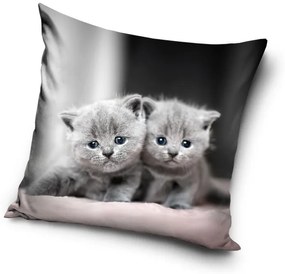 Pisică Twins husă decorativă pentru pernă 40x40 cm Catifea