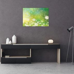 Tablou pe sticlă - Păpădie înflorită (70x50 cm)