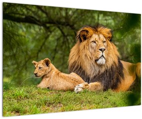 Tablou cu lei (90x60 cm)