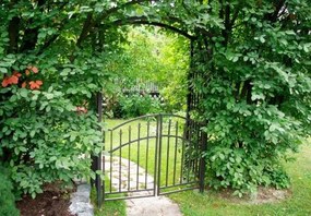 Arc de grădină Garth cu ușă