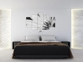 Tablou - Floare albă și neagră (150x105 cm)