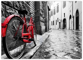 Tablou pe sticlă - Bicicleta roșie pe o stradă pavată (70x50 cm)