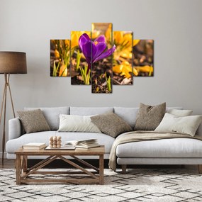 Tablou cu floare violetă (150x105 cm)