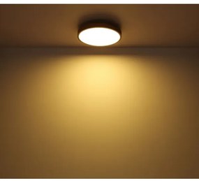 Plafonieră LED DORO LED/12W/230V d. 30 cm Globo 416080WD1R